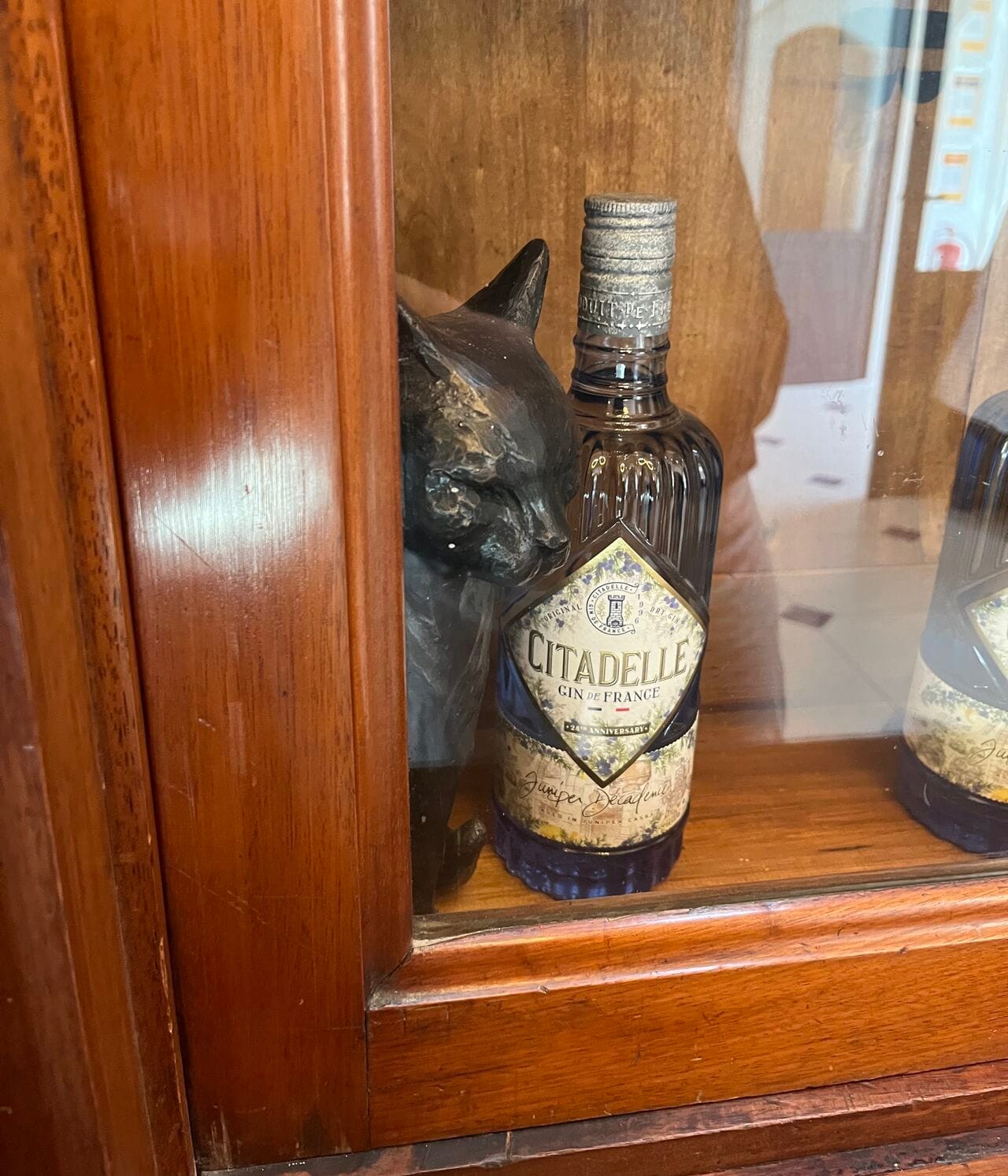 Distillery Cats: From Hunters to Mascots