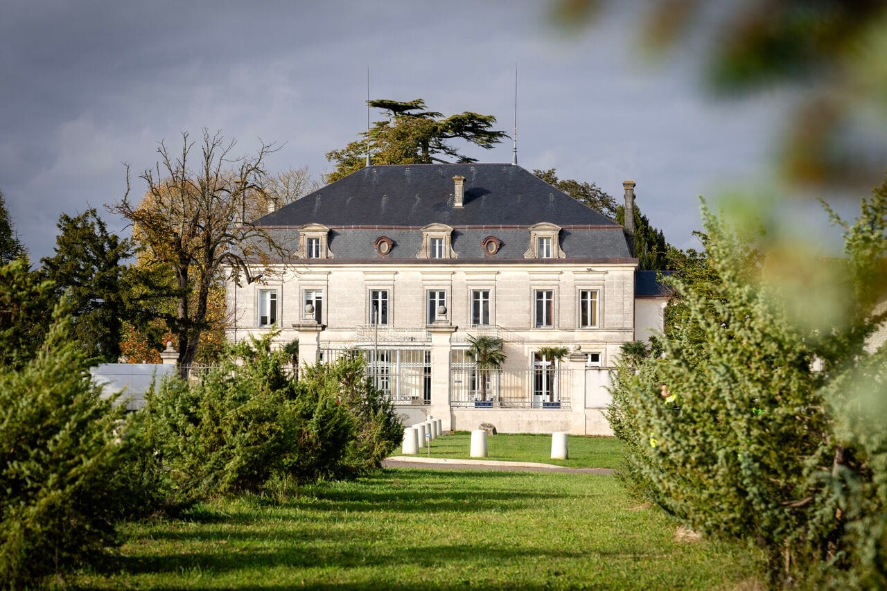 Experience the Juniper Berry Harvest at Château de Bonbonnet with Citadelle Gin