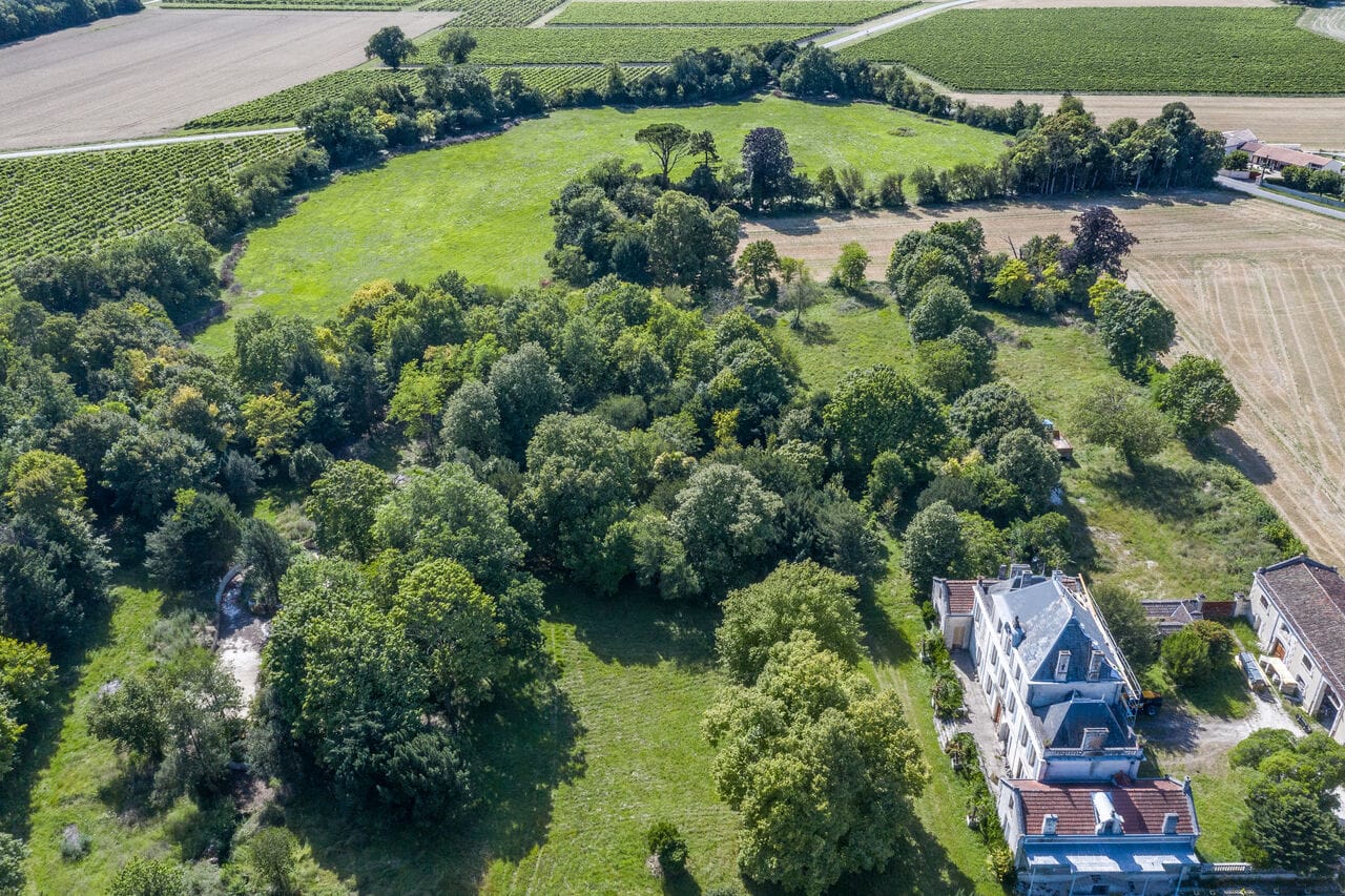 Vineyard revival at Manoir de Mademoiselle