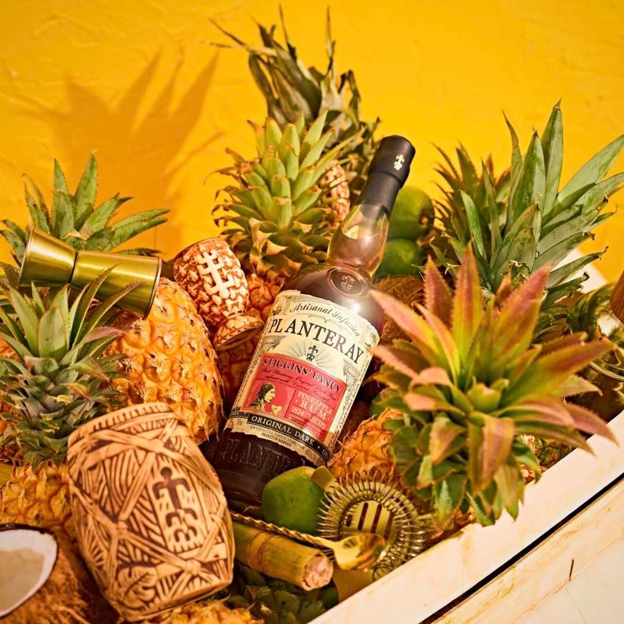 Tropical Week is back!