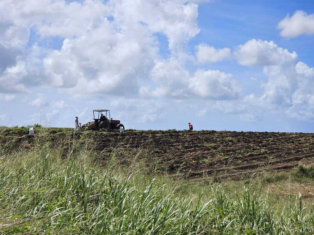 Expertise is best learned hands-on