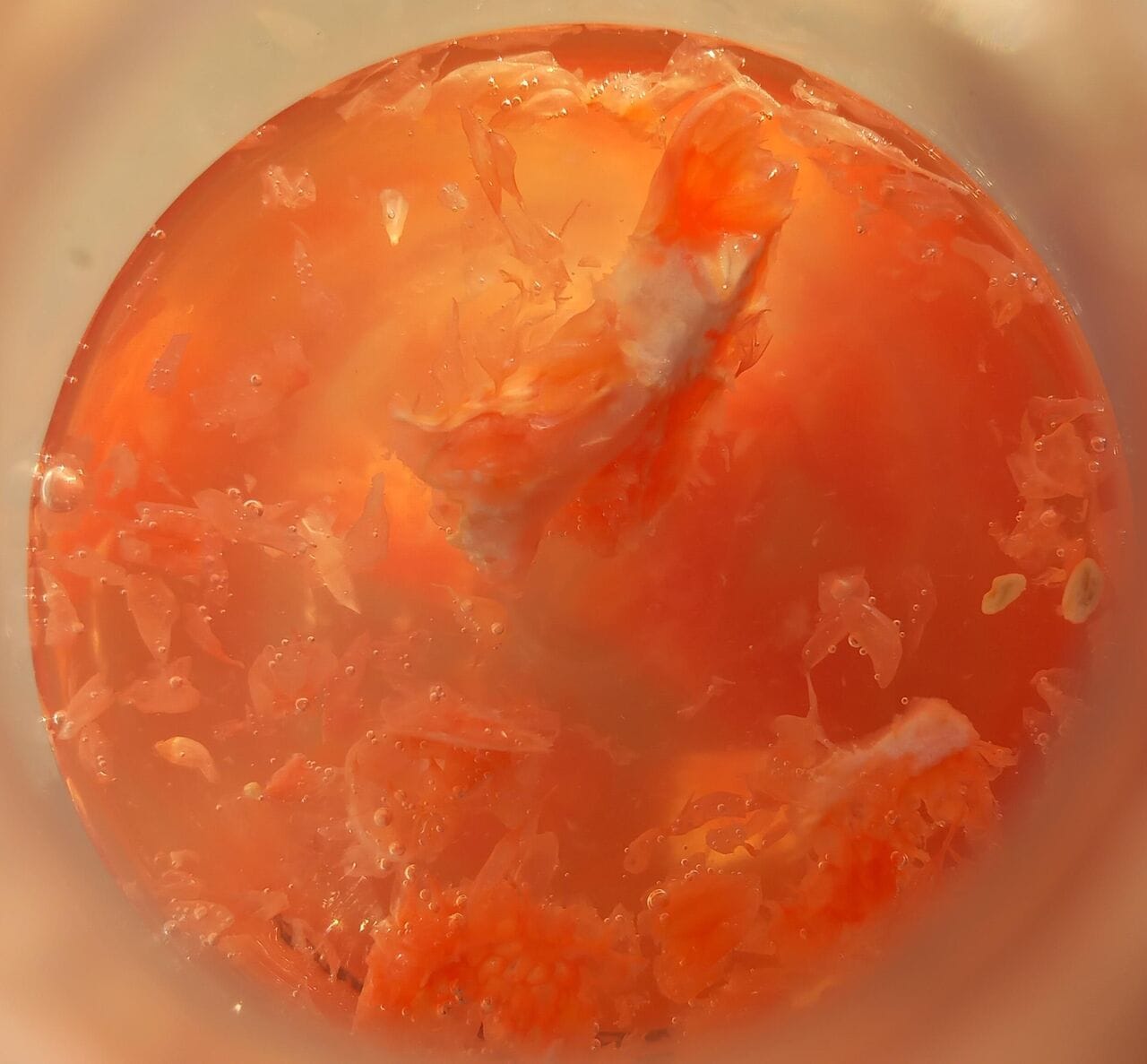 Inside Maison Ferrand’s Mad Laboratory!