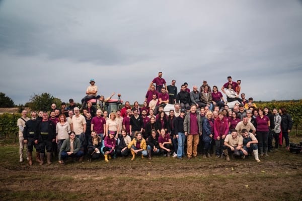 The weather can’t dampen the Ferrand Cognac teams’ commitment to the 2024 harvest