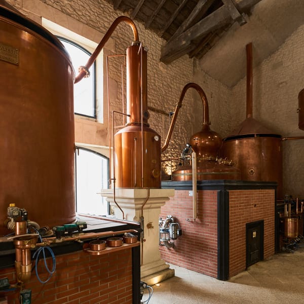 Stupfler: the still that captures the essence of raw materials