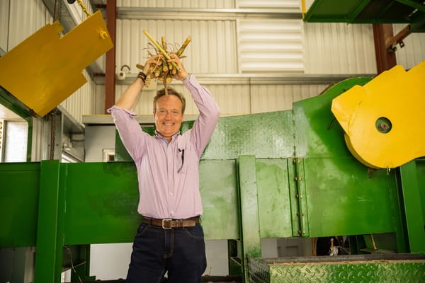 Maison Ferrand explores the secrets of sugarcane!