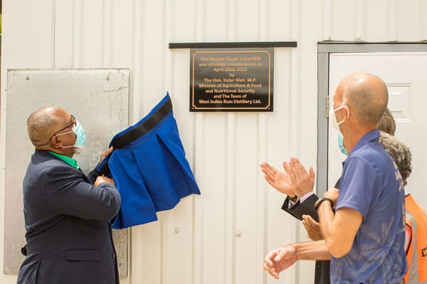 Harper Sugar Cane Mill: the legacy of a forgotten pioneer