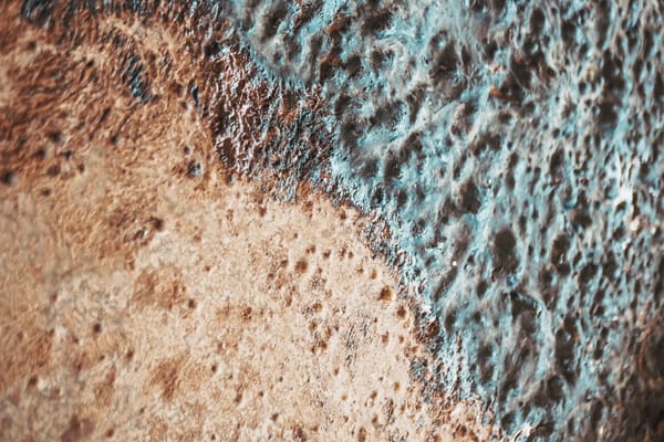 The yeast nursery: Stade's beating heart