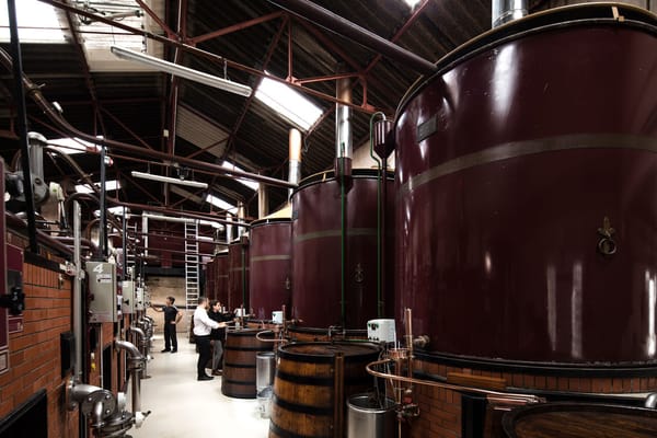 Making cognac, without compromises! - Part two