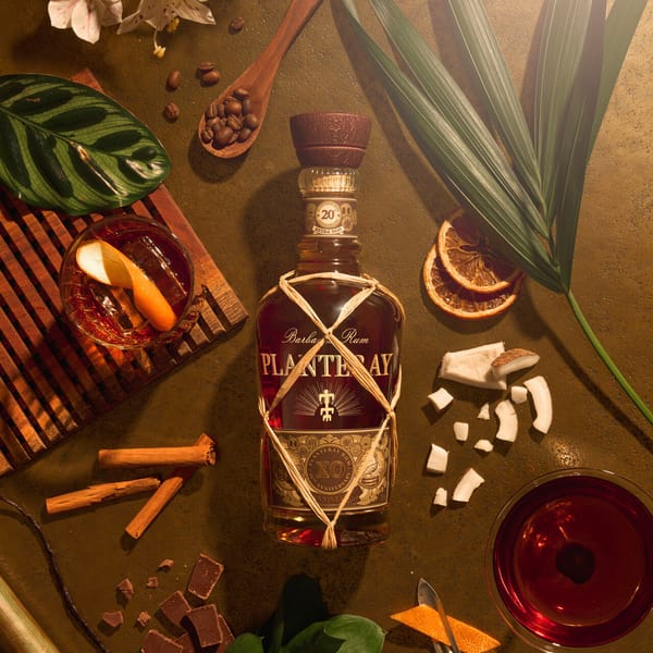Planteray XO, a gift that became a signature!